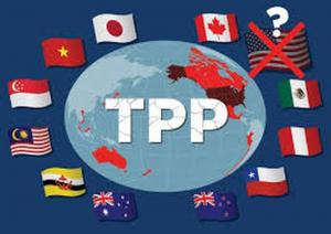 Chưa ngã ngũ về tương lai TPP không Mỹ