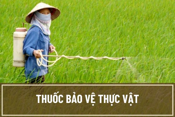 Thuốc bảo vệ thực vật là gì? Thuốc bảo vệ thực vật nào không được phép đăng ký ở Việt Nam?