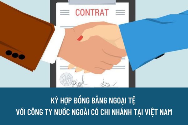 Doanh nghiệp có được ký hợp đồng bằng ngoại tệ với chi nhánh công ty nước ngoài tại Việt Nam không?