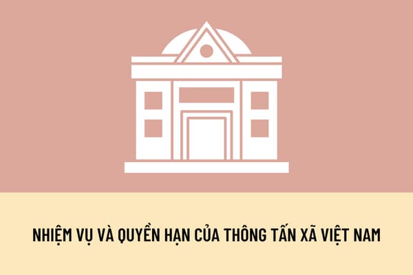 Thông tấn xã Việt Nam là cơ quan thực hiện nhiệm vụ và quyền hạn gì trong bộ máy nhà nước Việt Nam?