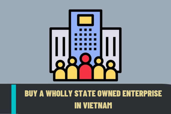 Are foreign investors allowed to buy a wholly state owned enterprise in Vietnam?
