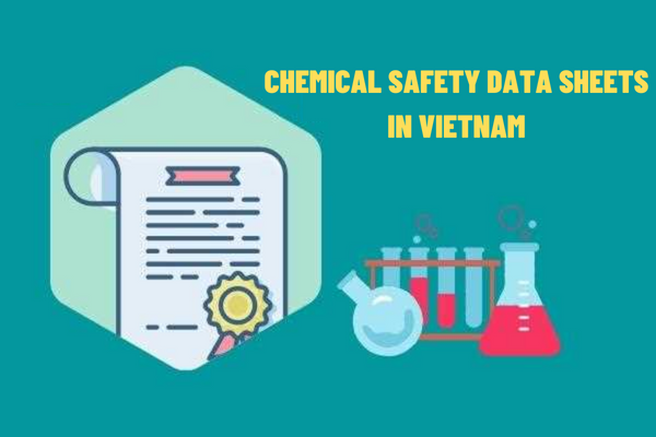 Does the chemical safety data sheet require periodic updating? What contents are included in the chemical safety data sheet in Vietnam?