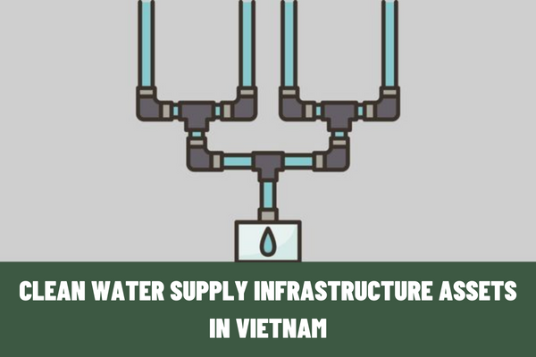 What are clean water supply infrastructure assets in Vietnam? Which agency manages clean water supply infrastructure assets?