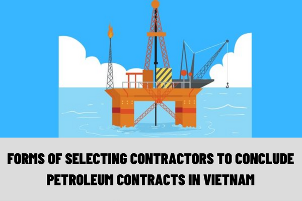 What are the forms of selecting contractors to conclude petroleum contracts in Vietnam? What are the conditions for the contractor to be selected to conclude petroleum contracts?