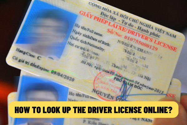 How to look up the driver license online to detect if it’s real or fake according to the latest regulations? What types of driver licenses are used in Vietnam nowadays?