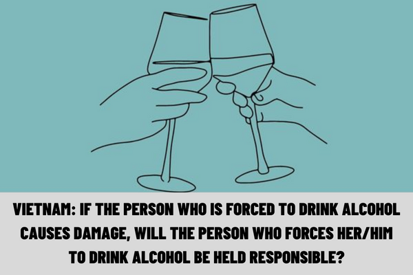 Vietnam: If the person who is forced to drink alcohol causes damage, will the person who forces her/him to drink alcohol be held responsible?