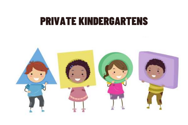What components are included in the organizational structure of private kindergartens in Vietnam? When is issuing a decision on suspension of operation of private kindergartens?