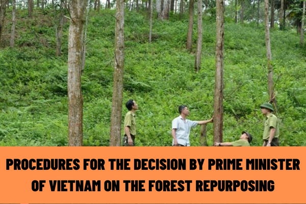 What are the procedures for the decision by the Prime Minister of Vietnam on the forest repurposing?