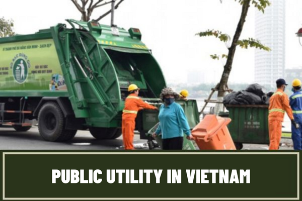 What is public utility in Vietnam? Where does the budget or funding for supply of public goods come from?