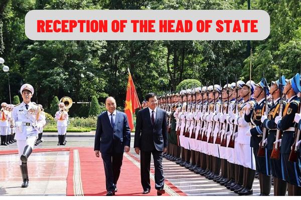 How to carry out the ceremony of reception of the Head of State on a state visit according to the latest regulations of Vietnam?