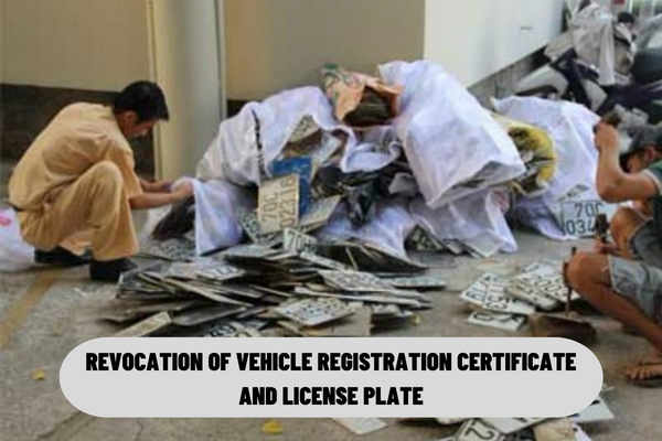 In 2022, what are the cases of revocation of vehicle registration certificate and license plate? What are the procedures for revocation?