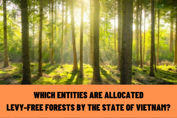 Which entities are allocated levy-free forests by the State of Vietnam? What are the rules for forest allocation in Vietnam?