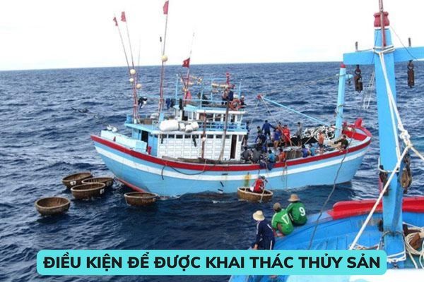 Điều kiện để được khai thác thủy sản ngoài vùng biển Việt Nam? Điều kiện tàu cá hoạt động khai thác thủy sản ngoài vùng biển Việt Nam? 