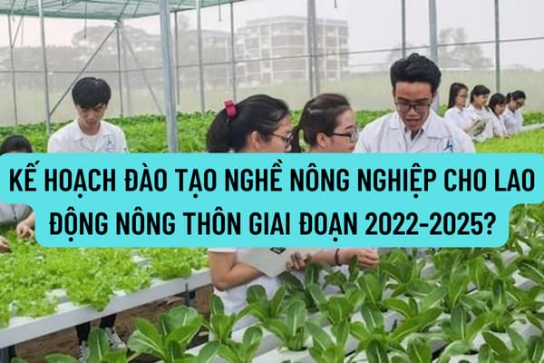 Kế hoạch đào tạo nghề nông nghiệp cho lao động nông thôn giai đoạn 2022-2025 như thế nào? Kinh phí và cơ chế thực hiện ra sao?