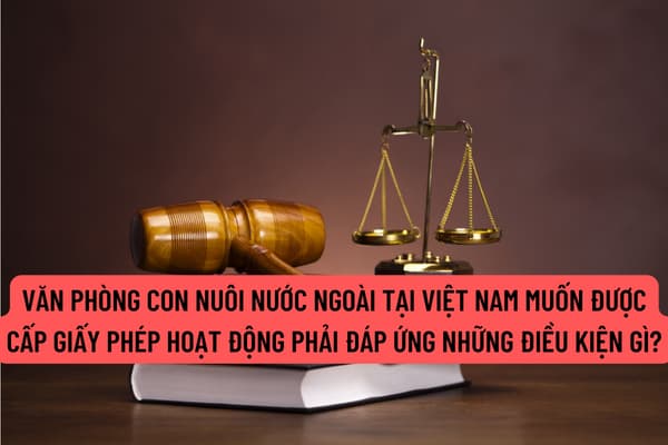 Để được cấp giấy phép hoạt động tại Việt Nam thì văn phòng con nuôi nước ngoài phải đáp ứng những điều kiện gì?