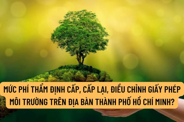 Mức phí thẩm định cấp, cấp lại, điều chỉnh giấy phép môi trường trên địa bàn Thành phố Hồ Chí Minh được quy định như thế nào?
