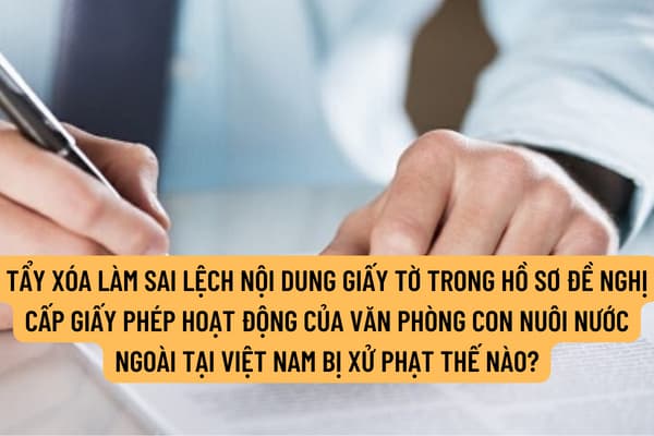 Hành vi tẩy xóa làm sai lệch nội dung giấy tờ trong hồ sơ đề nghị cấp giấy phép hoạt động của văn phòng con nuôi nước ngoài tại Việt Nam bị xử phạt thế nào?