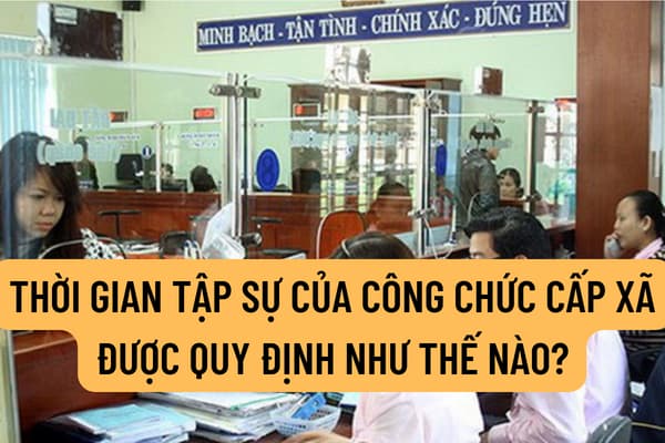 Thời gian tập sự của công chức cấp xã được quy định như thế nào? Chế độ được hưởng trong thời gian tập sự được quy định ra sao?