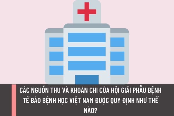 Các nguồn thu và khoản chi của Hội Giải phẫu bệnh Tế bào bệnh học Việt Nam được quy định như thế nào?