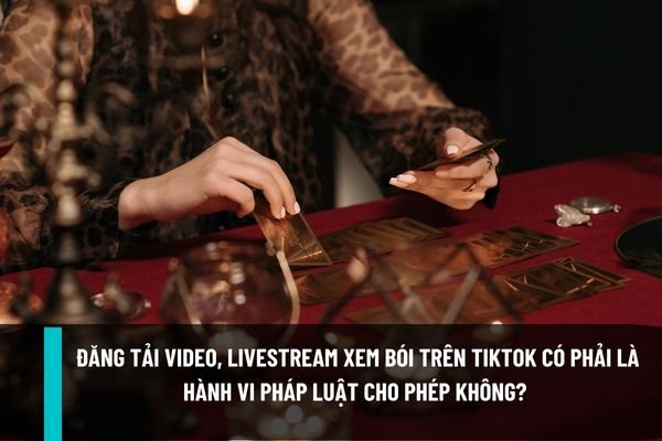 Đăng tải video, livestream xem bói trên Tiktok có phải là hành vi pháp luật cho phép thực hiện không?