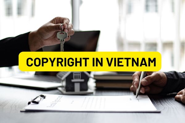 From January 1, 2023, the State represents the owner of copyright in Vietnam and related rights, which cases will belong to the public?