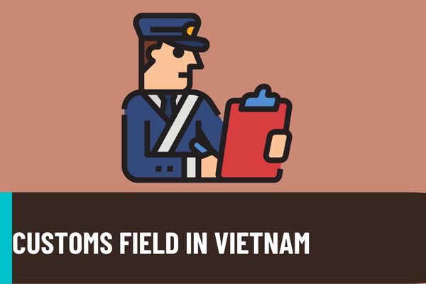 Guidance on enhancing the effectiveness of document inspection and law enforcement monitoring in the Customs field in Vietnam in 2022?