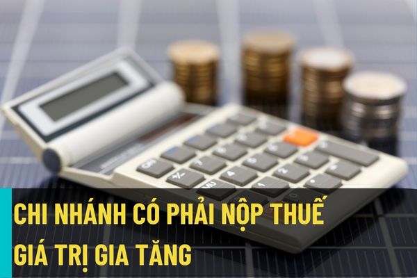 Công ty có trụ sở chính tại Hà Nội có dự án đầu tư mới thành lập Chi nhánh tại tỉnh Đồng Nai thì chi nhánh có phải nộp thuế giá trị gia tăng?