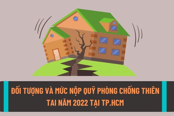 Đối tượng nào phải nộp quỹ phòng chống thiên tai năm 2022 tại Thành phố Hồ Chí Minh? Mức thu quỹ phòng chống thiên tai năm 2022 là bao nhiêu?