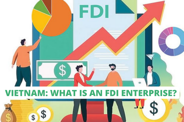 Vietnam: What is an FDI enterprise? What conditions must be met to become an FDI enterprise?