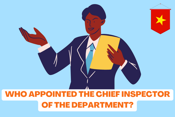 Vietnam: Who appointed the Chief Inspector of the Department? What are the duties and powers of the Chief Inspector of the department in inspection activities? 