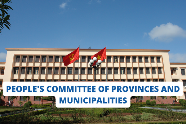 Vietnam: What functions, duties and powers do the Offices of the People's Committees of provinces and municipalities have according to the latest regulations?