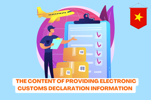 What are the regulations on the request form to supplement the content of providing electronic customs declaration information currently in Vietnam? 