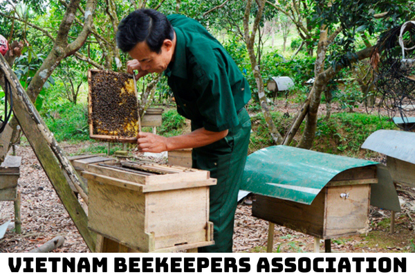 Nội dung Chương trình giám sát vệ sinh thú y và an toàn thực phẩm đối với mật ong là gì?