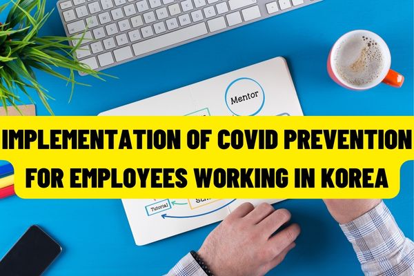 Ensuring the prevention of the Covid-19 epidemic when sending workers to work seasonally in Korea in 2022? (Image source: Internet)