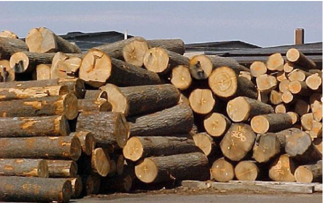 Procedures for certifying the list of forest products in Vietnam 2023 in Vietnam
