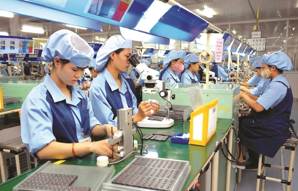 Proposal to develop an Law on Employment (amended) in Vietnam